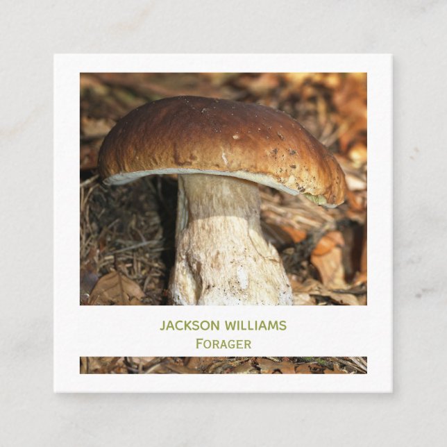 Wild gemachtes Mushroom Wild Food Fager| Foto Quadratische Visitenkarte (Vorderseite)