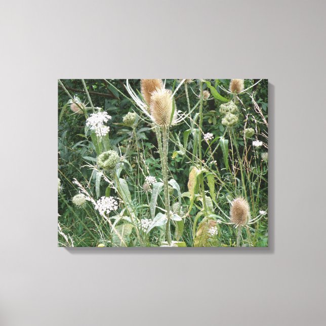Wild Grasses Canvas Print Leinwanddruck (Vorderseite)