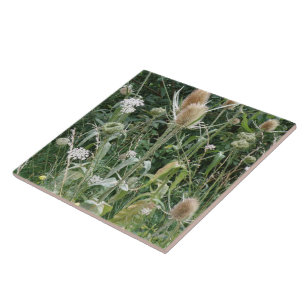 Wild Grasses Tile Fliese