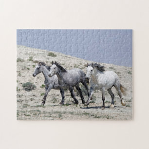 Wild Gray Horses Puzzle