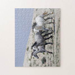 Wild Gray Horses Puzzle