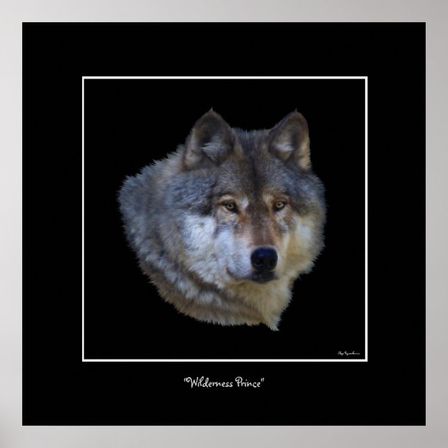 Wild Gray Wolf Art Poster (Vorne)