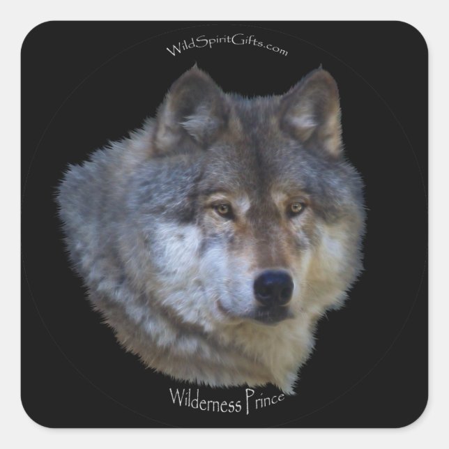 WILD GRAY WOLF Stickers (Vorderseite)