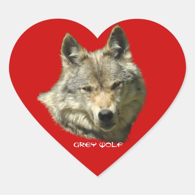 WILD GRAY WOLF Wildlife Stickers (Vorderseite)