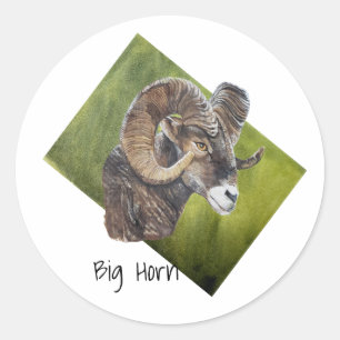 Wild Green Big Horn Ram Sheep Original Malerei  Runder Aufkleber