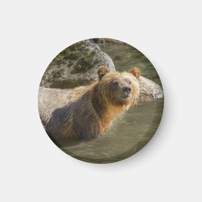 Wild Grizzly Bear am Fluss Orford Magnet (Vorne)