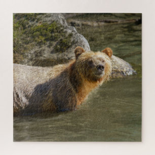 Wild Grizzly Bear am Fluss Orford Puzzle