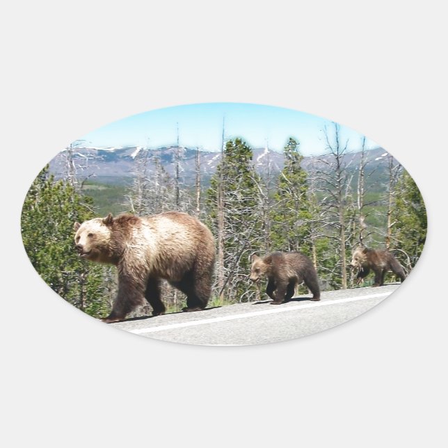 Wild Grizzly Bear Mama und Cubs in Yellowstone Ovaler Aufkleber (Vorderseite)