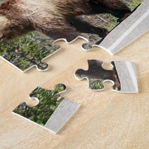 Wild Grizzly Bear Mama und Cubs in Yellowstone Puzzle