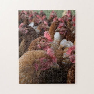 Wild Hen Chicken Family Group Nah aufpassen Farm Puzzle