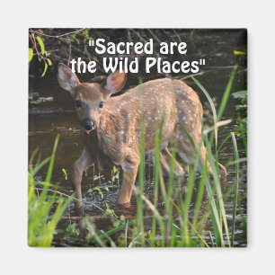 Wild Hirsch Fawn Wilderness Gift Magnete