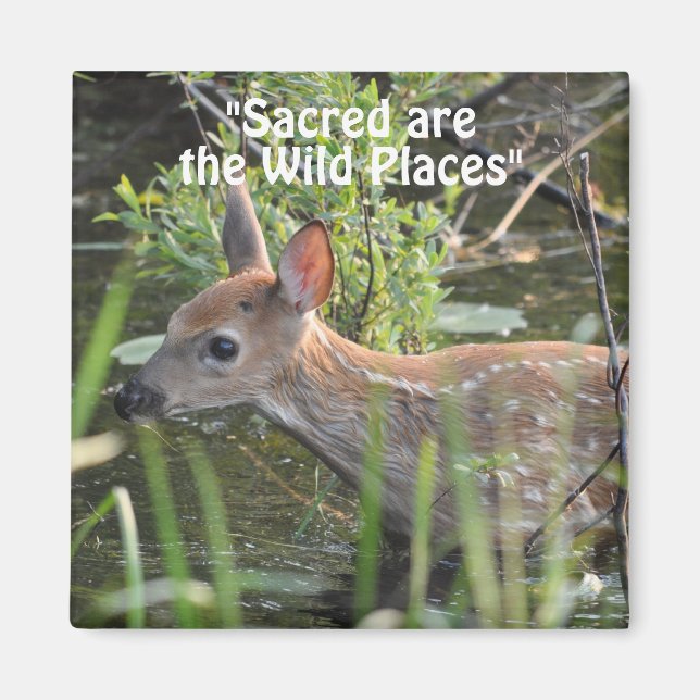 Wild Hirsch Fawn Wilderness Gift Magnete (Vorne)