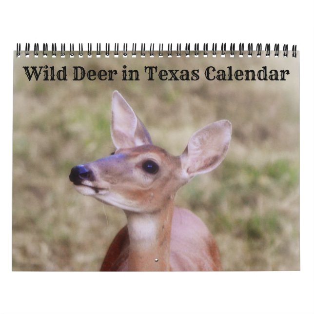 Wild Hirsch im Texas-Kalender Kalender (Titelbild)