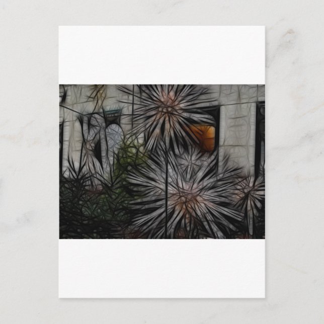 Wild Honey Postkarte (Vorderseite)