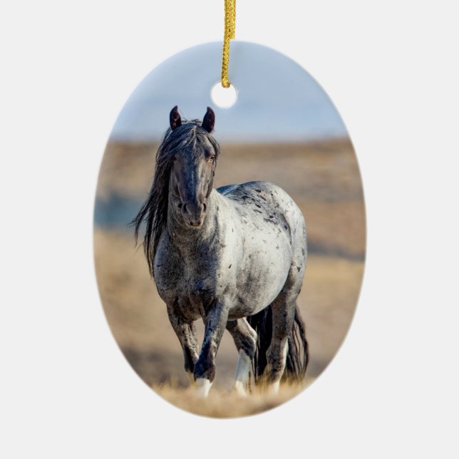 Wild Hoofbeats Blue Zeus Walks Ornament (Vorne)