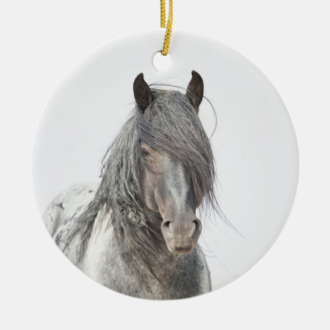 Wild Hoofbeats Ornament - Blue Zeus Portrait (Vorne)