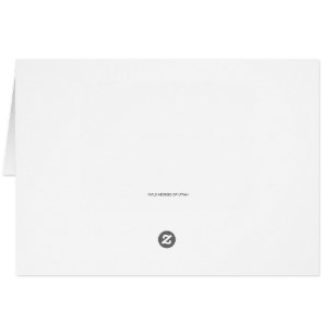 WILD HORSE DER ONAQUI BERGE, UTAH