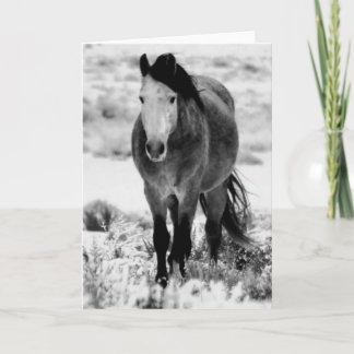 WILD HORSE DER UTAH-FALSCHEN Grußkarte Karte