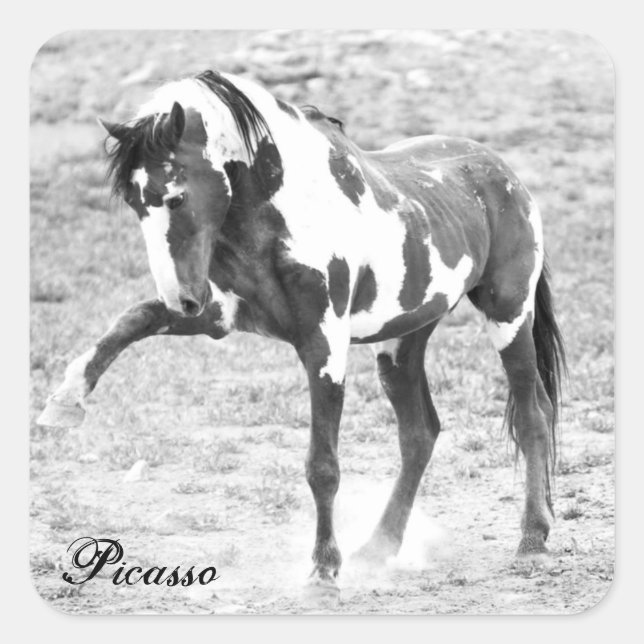 Wild Horse Foto Picasso Mustang Stickers (Vorderseite)