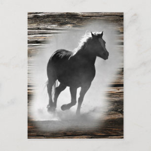Wild Horse Galloping Postkarte