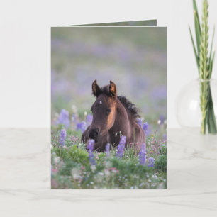 Wild Horse Greeting Card - Filly in the Lupine Karte