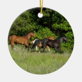 Wild Horse Herd Keramik Ornament