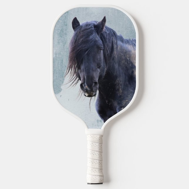 Wild Horse Jet Stream Pickleball Schläger (Vorderseite)