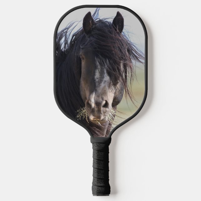 Wild Horse Jet Stream Pickleball Schläger (Vorderseite)