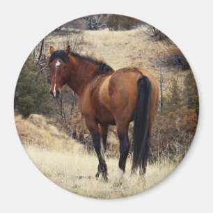 Wild Horse Magnet