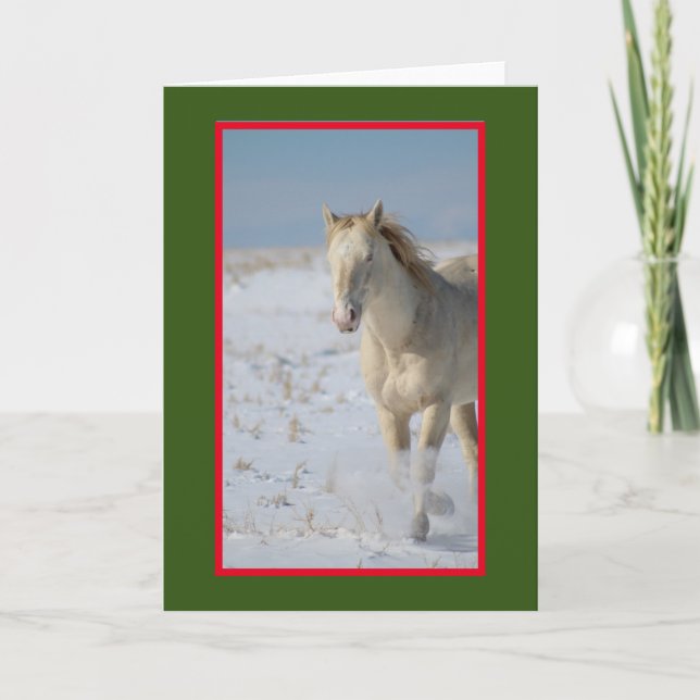 WILD HORSE OF UTAH IN THE SNOW CHRISTMAS Card Karte (Vorderseite)