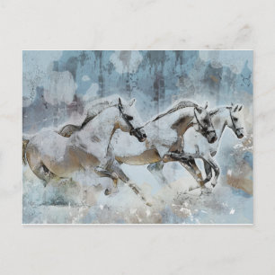 Wild Horse Stampede Western Postkarte