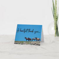 Wild Horse Vielen Dank