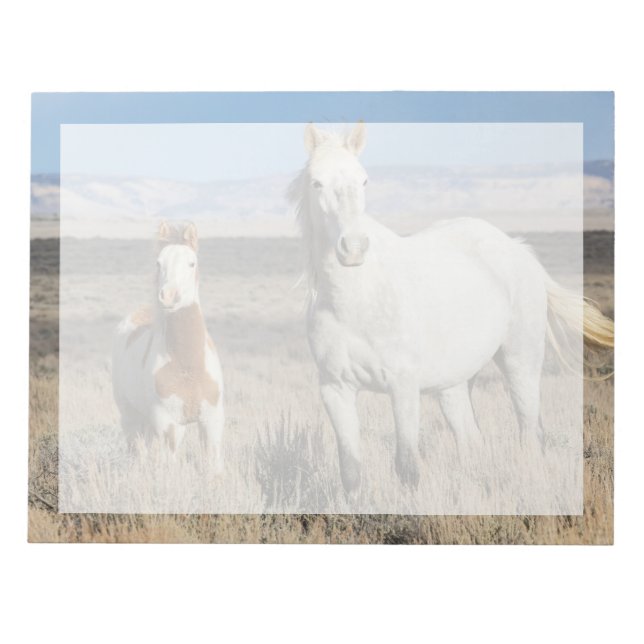 Wild Horses at Home in the Sandwash Basin Notizblock (Vorderseite)