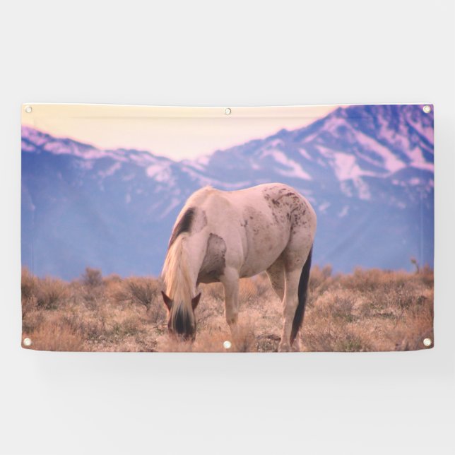 WILD HORSES PINTO IN BERGEN BANNER WALL ART (Horizontal)