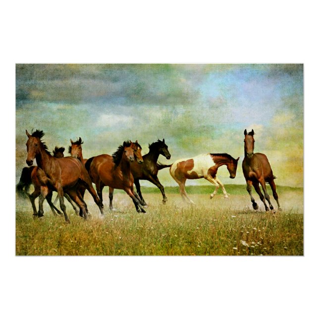 Wild Horses Poster (Vorderseite)