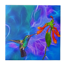 Wild Hummingbird Bird-Lover's Art Series