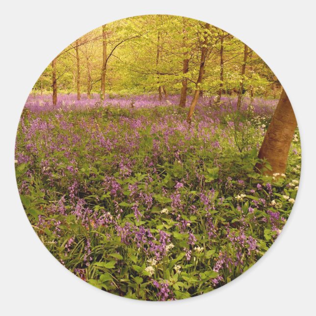 Wild hyacinth "Oszila non scripta" Runder Aufkleber (Vorderseite)