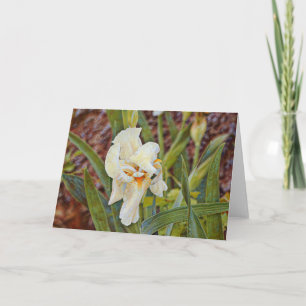 Wild Iris Blume Art Card Karte