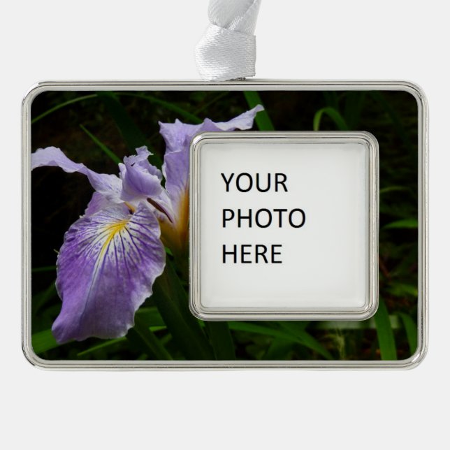 Wild Iris Blume Lila Floral Rahmen-Ornament Silber (Vorderseite)