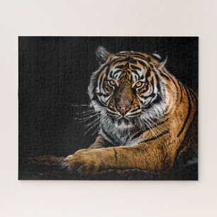 Wild Jungle Animal Tiger Puzzle