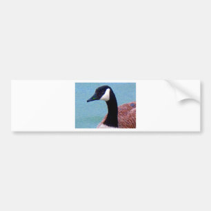 Wild kanadische Gans Autoaufkleber