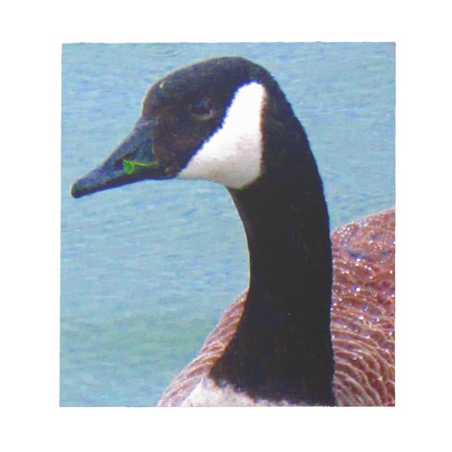 Wild kanadische Gans Notizblock (Vorderseite)