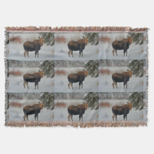 Wild kanadischer Elch im Winterschnee IV Decke