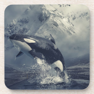Wild Killer Whale Jumping Getränkeuntersetzer