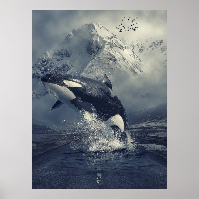 Wild Killer Whale Jumping Poster (Vorne)