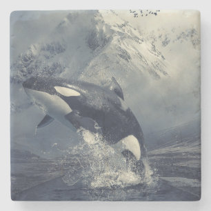 Wild Killer Whale Jumping Steinuntersetzer