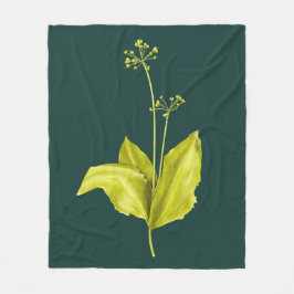 Wild-Knoblauch-Grüne Pflanze Natur Lover Botanist Fleecedecke