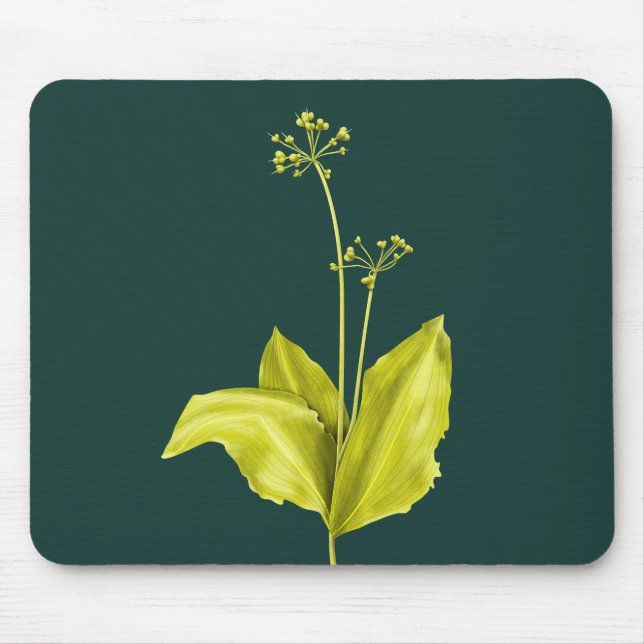 Wild-Knoblauch-Grüne Pflanze Natur Lover Botanist Mousepad (Vorne)