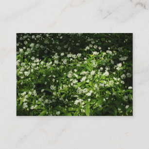 Wild Knolic Visitenkarte