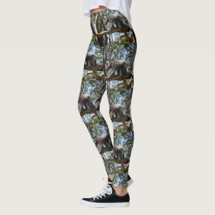 Wild-Koala-Bär, der auf einem Baumzweig spaziert, Leggings